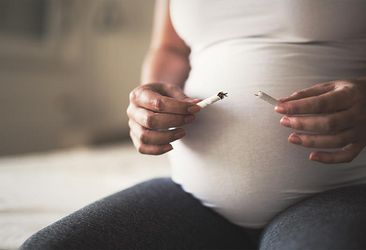Sitzende Schwangere zerreißt eine Zigarette