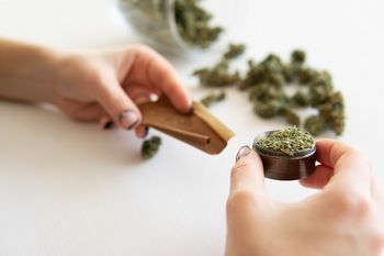 Frau dreht sich einen Joint aus gemahlenen Cannabisblüten